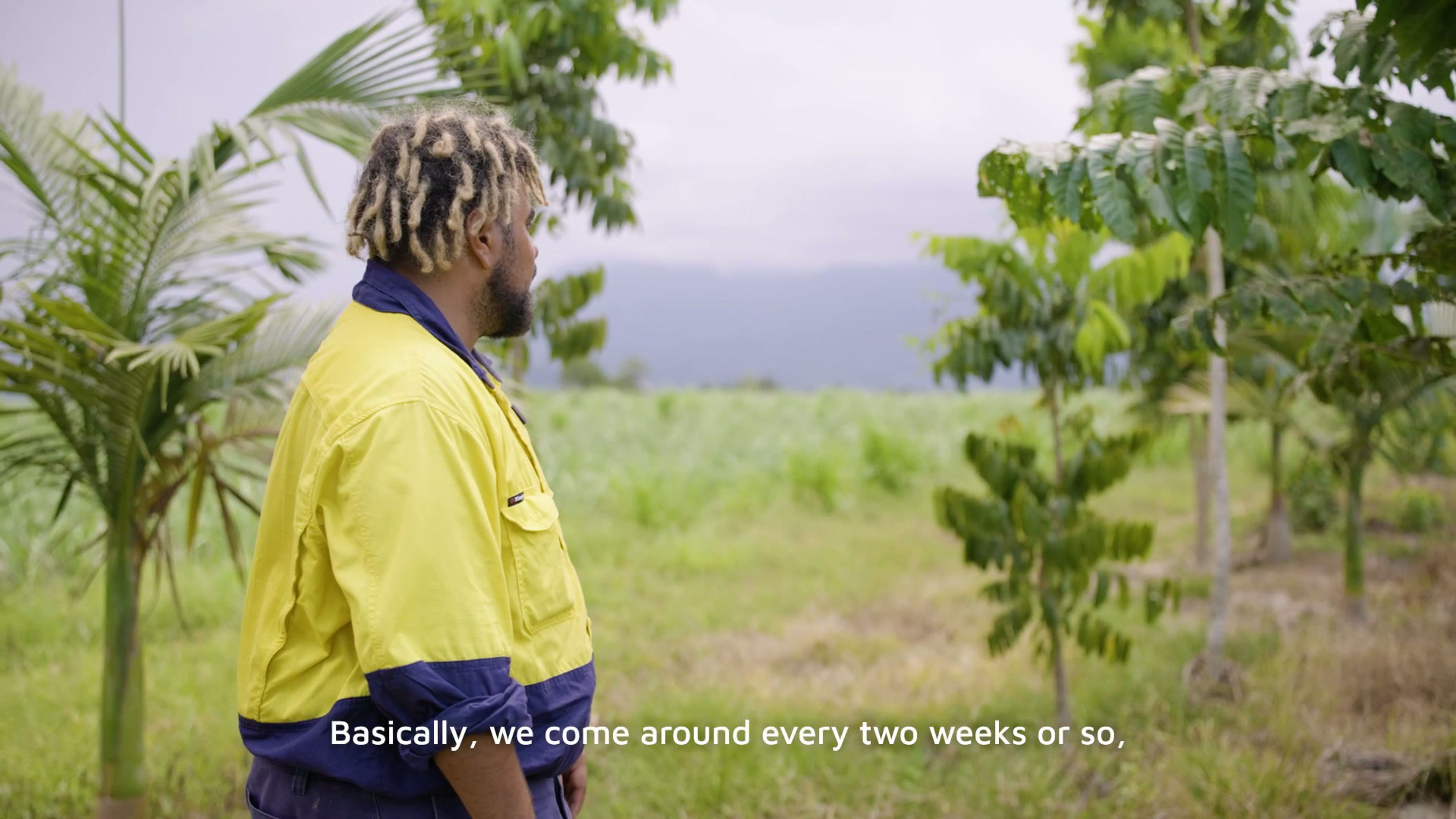 Reef Assist Program 2.0